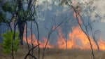 Fire ban declared for Darwin and areas as NT faces worst fire conditions in years