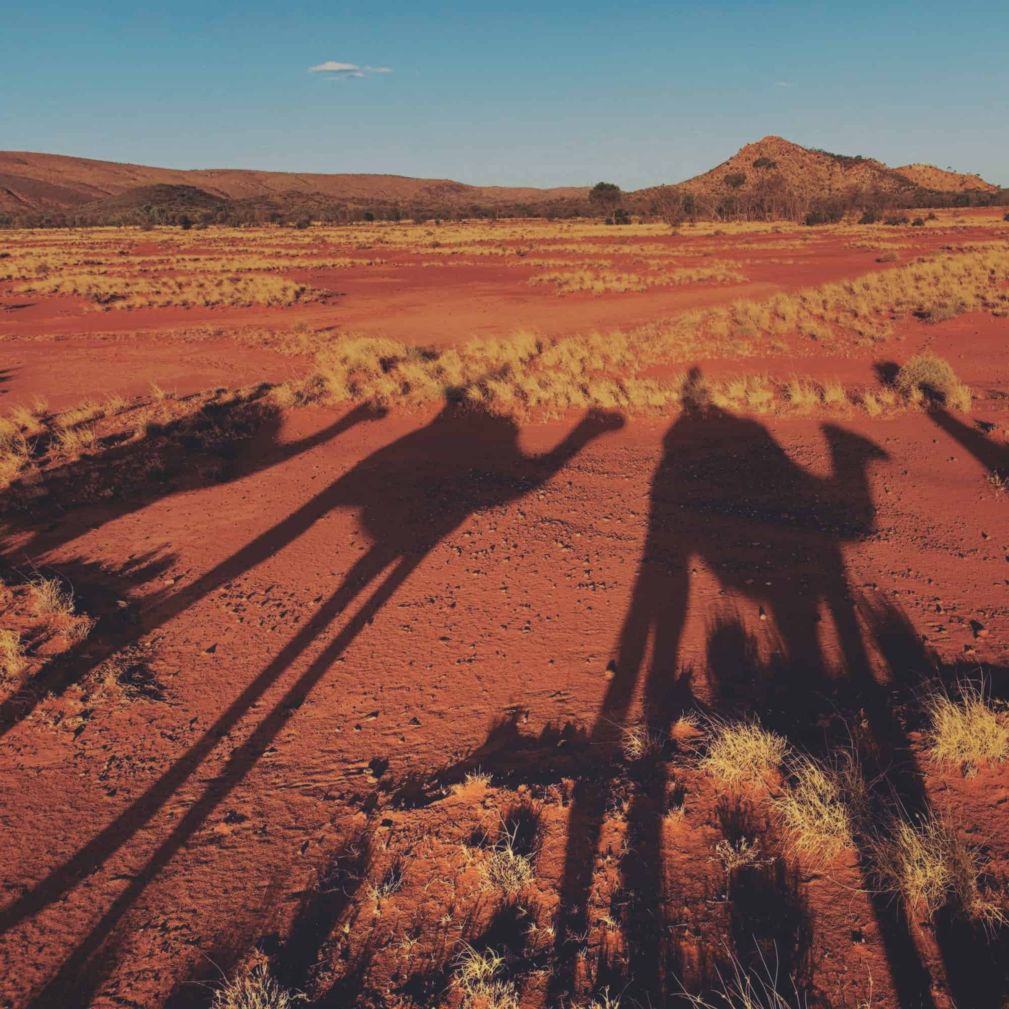 Pyndan Camel Tracks, Alice Springs