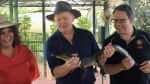 Anthony Albanese talks up tourism, takes aim at Morrison Government on croc-feeding tour