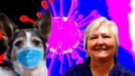 Dog tests positive after RAT, Senator uses her media adviser to promote her business