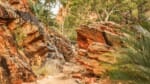 Another man rescued from Larapinta trail after becoming ill
