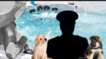 'I have a spa and puppies': Senior police officer investigated over alleged invitation to female graduate